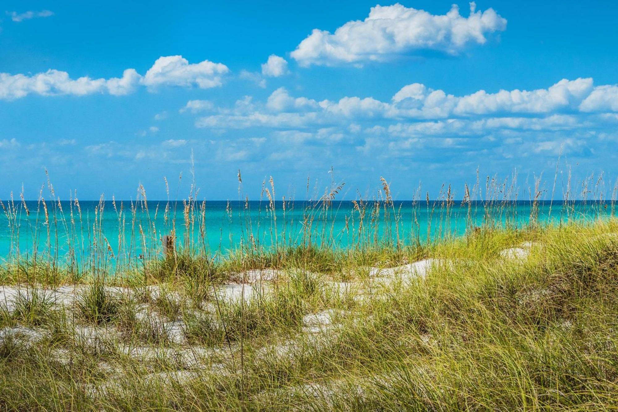 Calypso 1-608 East Aparthotel Panama City Beach Εξωτερικό φωτογραφία
